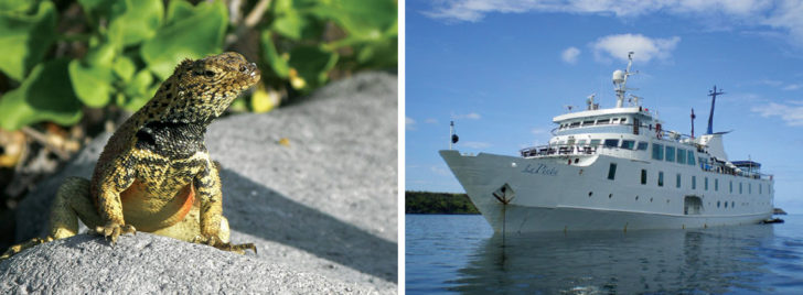 La Pinta Galapagos Yacht