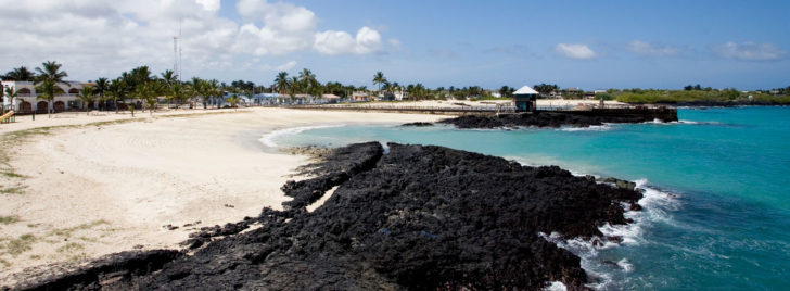 Land Based Galapagos