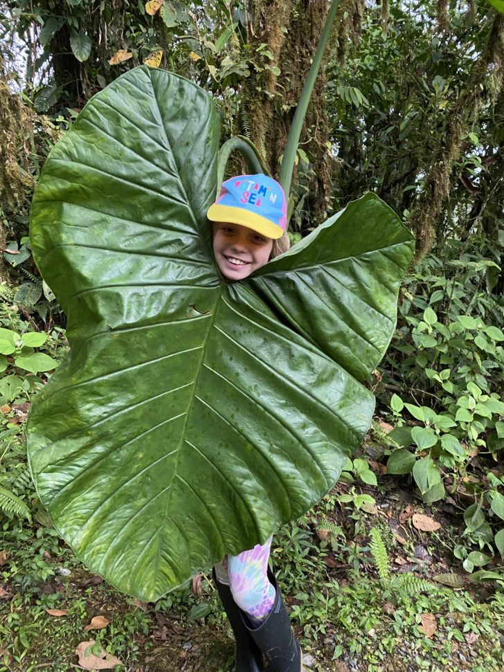 Girl posing behind a huge leaf in South America on a Knowmad trip