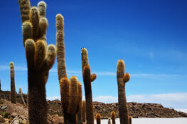 uyuni day trip landscape