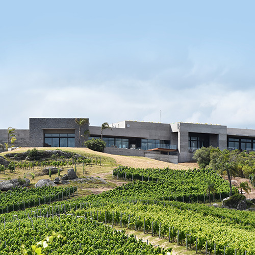 Beautiful landscape photo of a winery in Jose Ignacio, Uruguay during a custom trip. 