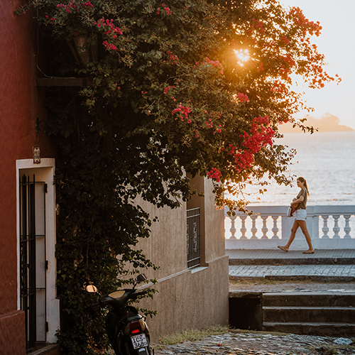 Beautiful flowers and a beach sunset in Uruguay. 