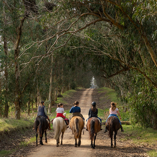 Group on horseback riding down a dirt lane during a luxury Uruguay travel itinerary. 