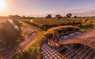 Sunset over a vineyard during a Uruguay luxury travel itinerary.