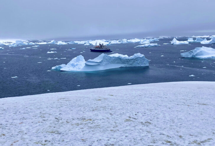 Amazing views taken by Knowmad Adventures travelers during their Antarctica expedition.