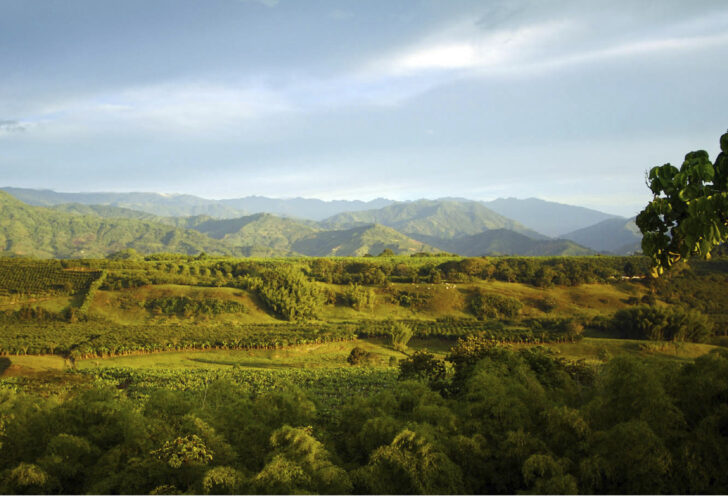 Landscape of Colombia's Coffee Region