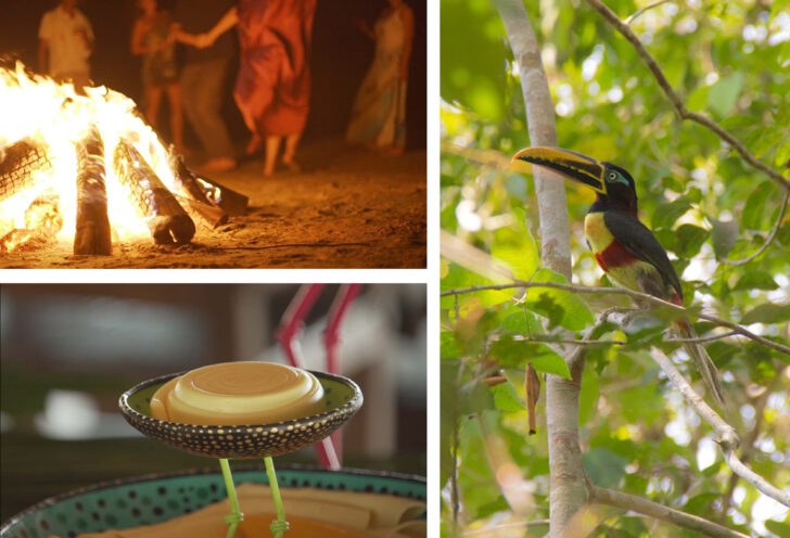 A collage from Llanos, Colombia, featuring people dancing around a bonfire, a scene of local culture, and diverse wildlife in their natural habitats.