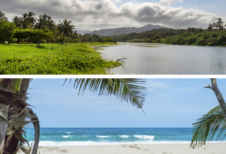 Rainforest in Tayrona National Natural Park, leading through lush greenery towards the Caribbean coastline.