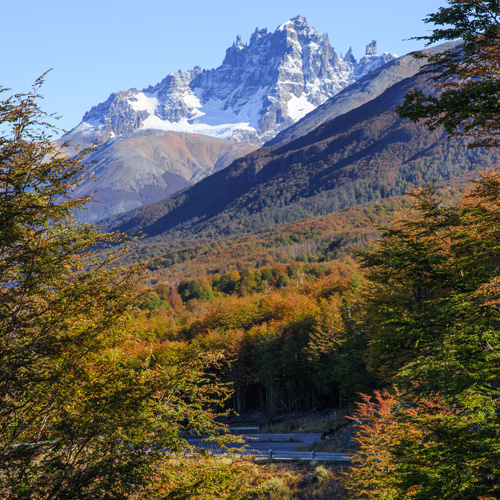 Northern Patagonia with Knowmad Adventures