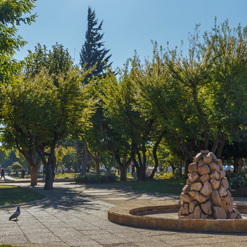 Tree lined street Northern Patagonia