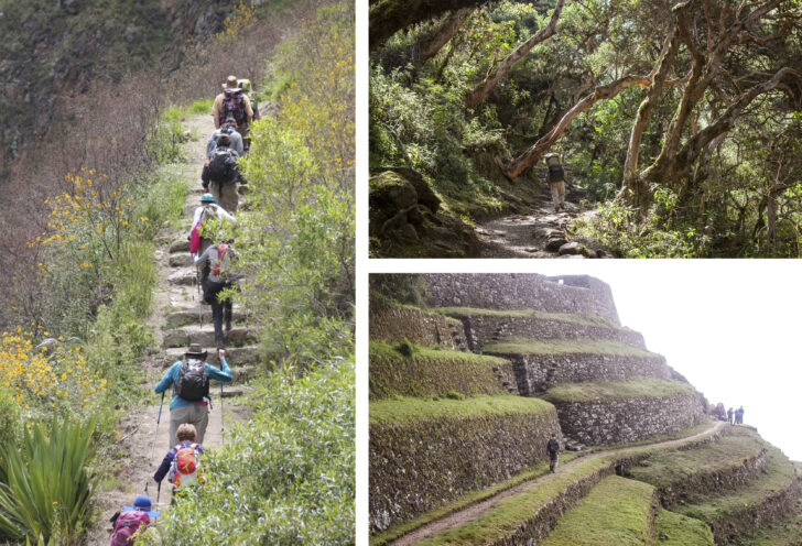 Hiking in Machu Picchu with Knowmad Adventures