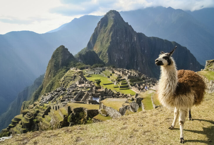 View of Machu Picchu with Llama