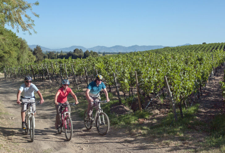 Biking in the Clos Apalta Vineyards