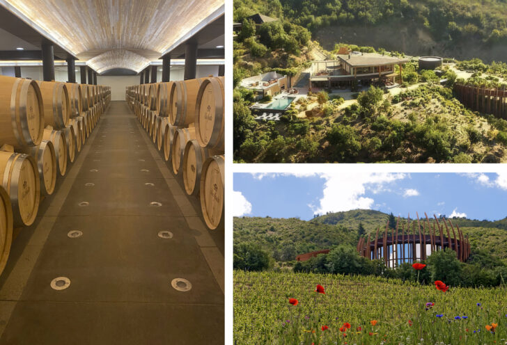 The Clos Apalta Residence: Chilean Vineyard