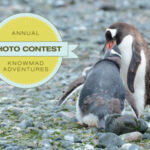 Knowmad Grand Prize Winner 2024 Photo Contest