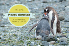 Knowmad Grand Prize Winner 2024 Photo Contest