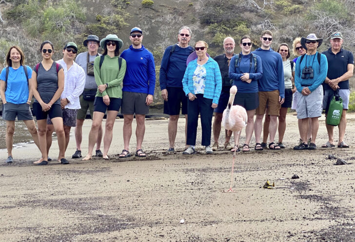 Flamingo with group portrait