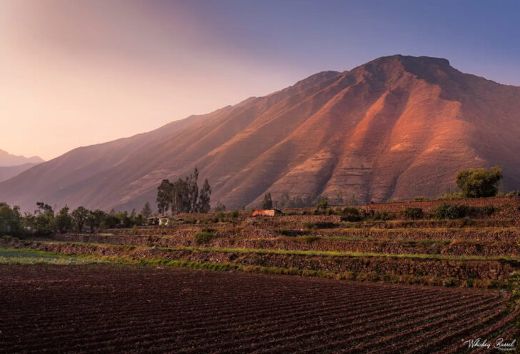 Peruvian Landscape with a pink sky