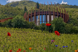 The Clos Apalta Residence in Chile
