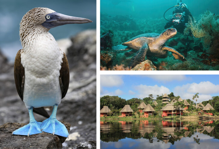 Galapagos Islands with Knowmad Adventures