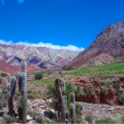 Hornocal road