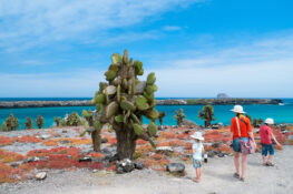 The Best South America Trips for Summer with Knowmad Adventures