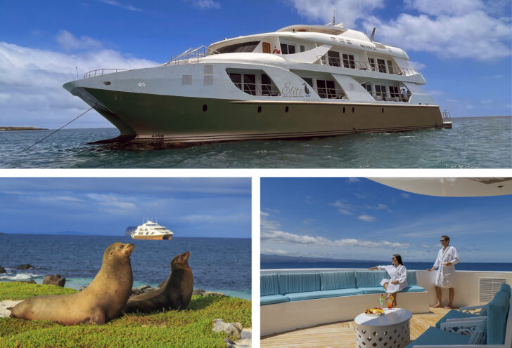 Enjoying the Galapagos on the Elite Catamaran