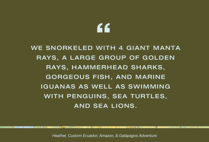 Knowmad Travelers and their adventures in the Galapagos