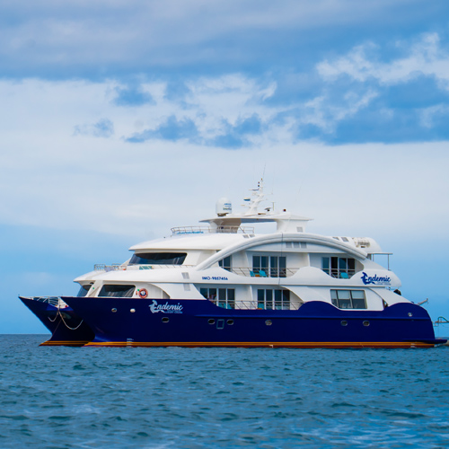 Endemic Luxury Class Vessel