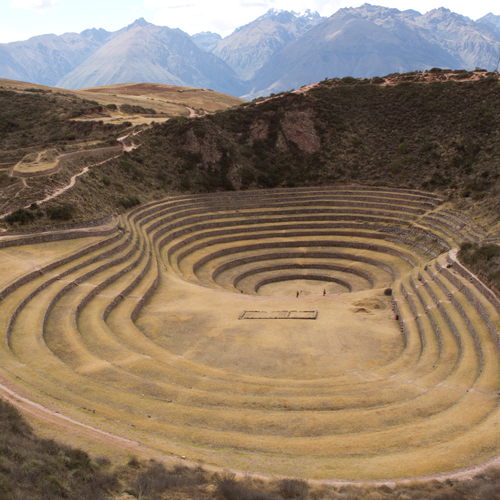 Agricultural Fields of Moray