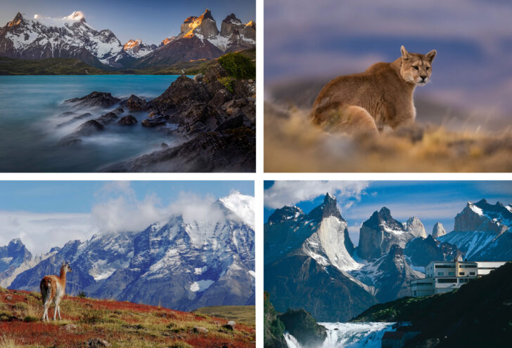 torres-del-paine-national-park